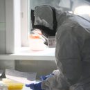Вакцину «Вектора» от COVID-19 получили три района Новосибирской области
