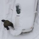 Без восьми снегоплавильных станций остался Новосибирск из-за нехватки средств