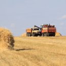 Новосибирская область будет кормить страны Азии