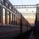 Поезд сбил мужчину на перегоне станций Обь-Чик