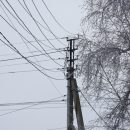 Трагедия на Бронной: прокуратура назвала виновного в смерти ребенка Трагедия на Бронной: прокуратура назвала виновного в смерти ребенка