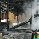 170 бездомных собак спасли на пожаре в приюте в Новосибирске