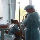 Выздоровели от коронавируса 193 человека в Новосибирской области