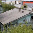 Из ветхого жилья в Новосибирской области расселят 1290 человек в 2021 году