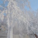Морозы до -37 градусов ожидают жителей Новосибирской области