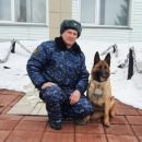 Овчарка Зера оставила новосибирских зеков без наркотиков