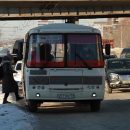 Запрет на высадку безбилетных детей: мнение экспертов