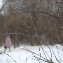 Дождь и мокрый снег обрушатся на Новосибирск в последние выходные марта