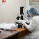 100 случаев COVID-19 выявили в Новосибирской области
