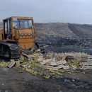 Бульдозер раздавил более 2 тонн груш с маркировкой «PL»