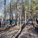 Особое внимание уделили объектам для голосования по благоустройству на всероссийском субботнике в Новосибирске Особое внимание уделили объектам для голосования по благоустройству на всероссийском субботнике в Новосибирске