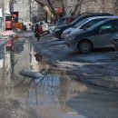 На выходных в Новосибирске воздух прогреется до плюс 8 градусов