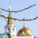 Кадровые перестановки в РПЦ коснулись Новосибирской митрополии