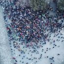 Несанкционированная акция в Новосибирске 21 апреля собрала не более 800 человек