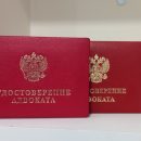 Адвокату из Искитима вынесли приговор за мнимые связи