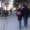 Мать тащила дочь за волосы в Искитиме — новосибирский следком организовал проверку