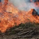 Уголовное наказание грозит поджигателю 100 домов из Мошковского района