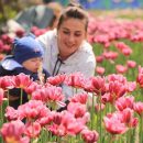 Первый фестиваль цветов начался в Новосибирске