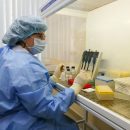 В Новосибирской области 41 выздоровел, четверо скончались от COVID-19