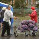 Картофель резко подорожал в Новосибирске