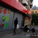 Кошку со второго этажа выкинул житель дома по улице Кирова в Новосибирске