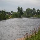Тайну зеленой жижи в Берди раскрыли эксперты Росприроднадзора