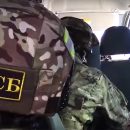 Ветврач за деньги пропускала животных через границу
