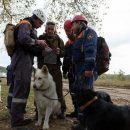 Жену и мужа со сломанной ногой отыскали в лесах Мошковского района Жену и мужа со сломанной ногой отыскали в лесах Мошковского района