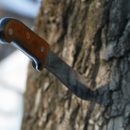 Дело о подростке-душителе расследуют под Новосибирском