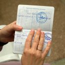 Справками об отсутствии COVID-19 торговали в Новосибирске 14 сайтов