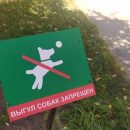 Служба-112 стала принимать звонки о бродячих собаках в Новосибирской области