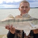 Жители Швейцарии и Франции распробовали судака из Чанов