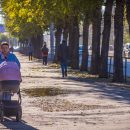 Материнский капитал проиндексируют по фактической инфляции в 2022 по инициативе Владимира Путина