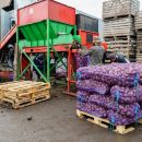 Борщевого набора новосибирцам не хватит до весны Борщевого набора новосибирцам не хватит до весны