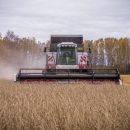 Новосибирскую тритикале впервые отправили на экспорт